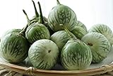 Thai Round Green Eggplant Seeds (25+ Seeds)(More Heirloom, Organic, Non GMO, Vegetable, Fruit, Herb, Flower Garden Seeds (25+ Seeds) at Seed King Express) Photo, new 2024, best price $4.69 review
