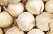 Photo 250 Early White Grano PRR Onion Seeds | Non-GMO | Heirloom | Instant Latch Garden Seeds review