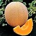 Photo Seed Kingdom Cantaloupe Hales Best Jumbo Melon Heirloom Vegetable 3,000 Seeds review