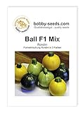 Kürbissamen Ball Mix F1 Zucchini Rondinimischung Portion Foto, neu 2024, bester Preis 2,95 € Rezension