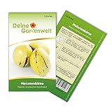 Melonenbirne Birnenmelone Pepino Samen - Solanum muricatum - Melonenbirnensamen - Obstsamen - Saatgut für 6 Pflanzen Foto, neu 2024, bester Preis 2,69 € (0,45 € / stück) Rezension