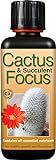 Engrais concentré Liquide Cactus and Succulent Focus 300 ML Photo, nouveau 2024, meilleur prix 11,97 € (39,90 € / l) examen