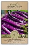 Gaea's Blessing Seeds - Eggplant Seeds - Long Purple Heirloom Non-GMO Seeds with Easy to Follow Planting Instructions - 91% Germination Rate Net Wt. 1.0g Photo, new 2024, best price $5.99 review