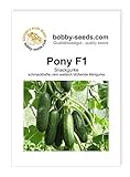 Pony F1 Snackgurkensamen von bobby-seeds Portion Foto, neu 2024, bester Preis 4,69 € Rezension