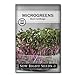 Photo Sow Right Seeds - Red Cabbage Microgreen Seed for Growing - Instructions to Quickly Grow Your Own Delicious and Healthy Microgreens - Plant Indoors with no Special Equipment - Minimum 14g per Packet review