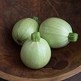 David's Garden Seeds Zucchini Round Cue Ball (Green) 25 Non-GMO, Hybrid Seeds Photo, new 2024, best price $4.95 review