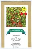 Wildtomate rot - krankheitsresistent - auch für den Kübel oder Hängeampel - 30 Samen Foto, neu 2024, bester Preis 2,19 € (0,07 € / stück) Rezension