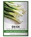 Photo Green Onion Seeds for Planting - Tokyo Long White Bunching is A Great Heirloom, Non-GMO Vegetable Variety- 200 Seeds Great for Outdoor Spring, Winter and Fall Gardening by Gardeners Basics review