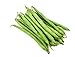 Photo Burpee Stringless Green Bean Seeds, 50 Heirloom Seeds Per Packet, Non GMO Seeds, (Isla's Garden Seeds), Botanical Name: Phaseolus vulgaris, 85% Germination Rates review