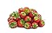 Photo Seascape Everbearing Strawberry Bare Roots Plants, 25 per Pack, Hardy Plants Non GMO review