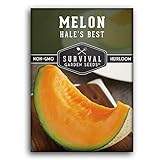 Survival Garden Seeds - Hale's Best Melon Seed for Planting - Grow Juicy Cantaloupe for Eating - Packet with Instructions to Plant in Your Home Vegetable Garden - Non-GMO Heirloom Variety Photo, new 2024, best price $4.99 review