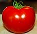 Photo Celebrity Tomato 45 Seeds -Disease Resistant! review