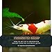 Photo FRESHWATER SHRIMP: HOW TО SET UP А FRESHWATER SHRIMP TANK THЕ ULTIMATE GUIDE review