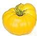 Photo Graines de tomate, jaune Brandywine, tomates jaunes, tomates Heirloom non Ogm 50ct examen
