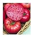 Photo 75+ Mortgage Lifter Tomato Seeds- Heirloom Variety- by Ohio Heirloom Seeds review