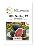 Melonensamen Little Darling F1 Wassermelone 50 Korn Foto, neu 2024, bester Preis 8,56 € Rezension