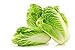 Photo Peking Cabbage Seeds for Planting Chinees Beijing Napa Lettuce About 100 Seeds review