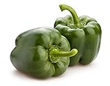 California Wonder 300 TMR Bell Pepper Seeds, 100+ Heirloom Seeds Per Packet, Non GMO Seeds, Botanical Name: Capsicum annuum, Isla's Garden Seeds Photo, new 2024, best price $6.99 ($0.07 / Count) review