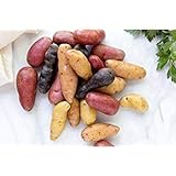 Simply Seed - 10 Piece - Fingerling Potato Seed Mix - Non GMO - Naturally Grown - Order Now for Spring Planting Photo, new 2024, best price $13.99 review