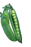 Burpee Easy Peasy Pea Seeds 200 seeds Photo, new 2024, best price $7.13 ($0.04 / Count) review