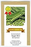 Zuckererbse - Sugar Bon - 50 Samen Foto, neu 2024, bester Preis 1,80 € Rezension