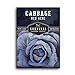 Photo Survival Garden Seeds - Red Acre Cabbage Seed for Planting - Packet with Instructions to Plant and Grow Purple Cabbages in Your Home Vegetable Garden - Non-GMO Heirloom Variety review