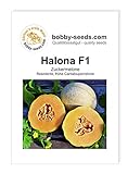 Melonensamen Halona F1 Zuckermelone Portion Foto, neu 2024, bester Preis 2,30 € Rezension
