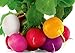 Photo Colorful Radish Seed Mix Easy to Grow Vegetable Garden Seeds for Planting About 50 Seeds review