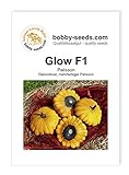 Glow F1 Kürbissamen von Bobby-Seeds, Portion Foto, neu 2024, bester Preis 2,75 € Rezension