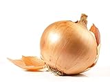 Walla Walla Sweet Spanish Onion Seeds, 300 Seeds Per Packet, Non GMO Seeds, Botanical Name: Allium cepa, Isla's Garden Seeds Photo, new 2024, best price $5.99 ($0.02 / Count) review