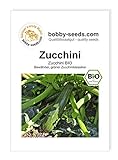 Bobby-Seeds BIO-Kürbissamen Zucchini BIO Portion Foto, neu 2024, bester Preis 2,95 € Rezension