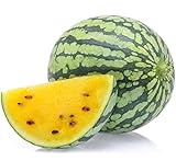 Yellow Watermelon Seeds 8+ Sweet Fruit Vine Organic Non-GMO Easy to Grow (Citrullus lanatus) for Garden Outdoor Indoor Farm Foto, nuevo 2024, mejor precio 10,56 € revisión