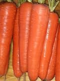 Seed Kingdom Carrot Tendersweet Great Heirloom Vegetable Seeds (5,000 Seeds) Photo, new 2024, best price $3.95 review