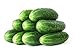 Photo 50 Straight Eight Cucumber Seeds - Heirloom Non-GMO USA Grown Vegetable Seeds for Planting - Pickling and Slicing Cucumber review