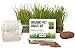 Photo Cat Grass Growing Kit - 3 Pack Organic Seed, Soil and BPA Free containers (Non GMO). All of Our Seed is Locally sourced! review