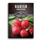 Survival Garden Seeds - Champion Radish Seed for Planting - Packet with Instructions to Plant and Grow Red Radishes in Your Home Vegetable Garden - Non-GMO Heirloom Variety Photo, new 2024, best price $4.99 review