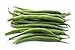 Photo Green Bean Seeds for Planting - Provider - Bush Bean - 50 Seeds - Heirloom Non-GMO Vegetable Seeds for Planting review