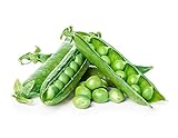 Green Arrow Pea Seeds Photo, new 2024, best price $5.49 review