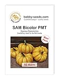 SAM Bicolor PMT Kürbissamen von Bobby-Seeds 50 Korn Foto, neu 2024, bester Preis 4,82 € Rezension