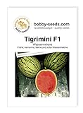 Melonensamen Tigrimini F1 Wassermelone Portion Foto, neu 2024, bester Preis 2,95 € Rezension