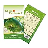 Freilandsalatgurke Chinese Slangen Samen - Cucumis sativus - Gurkesamen - Gemüsesamen - Saatgut für 10 Pflanzen Foto, neu 2024, bester Preis 1,99 € (0,20 € / stück) Rezension