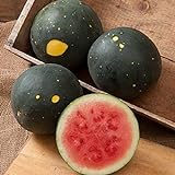 David's Garden Seeds Fruit Watermelon Moon & Stars 5547 (Red) 50 Non-GMO, Heirloom Seeds Photo, new 2024, best price $3.45 review