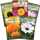 Sow Right Seeds - Flower Seed Garden Collection for Planting - 5 Packets Includes Marigold, Zinnia, Sunflower, Cape Daisy, and Cosmos - Wonderful Gardening Gift Photo, new 2024, best price $10.99 ($2.20 / Count) review
