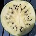 Photo Cream of Saskatchewan Heirloom Watermelon (Certified Organic Seeds) by Stonysoil Seed Company review