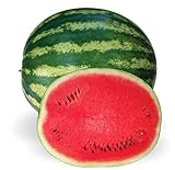 Crimson Sweet Heirloom Watermelon Seeds Photo, new 2024, best price $8.99 ($0.15 / Count) review