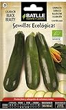 Bio Samen - Zucchini Black Beauty (24-32 Samen - Bio) Foto, neu 2024, bester Preis 4,83 € (24,15 € / kg) Rezension