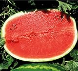 Melone - Wassermelone Calsweet - Gewicht: 10-15kg - 10 Samen Foto, neu 2024, bester Preis 1,80 € Rezension