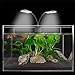 Foto Foreverup LED Aquarium Licht, Aquarium Beleuchtung mit Clip, Clip-on Aquarium Lampe Fish Tank Lights Aquarium Clip Licht für Fisch Tank Pflanze, Zierfische, Wasserpflanzen, EU-Stecker (weißes Licht) Rezension