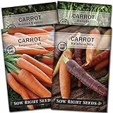 Sow Right Seeds - Carrot Seed Collection for Planting - Rainbow, Nantes, Imperator, and Kuroda Varieties - Non-GMO Heirloom Seeds to Plant a Home Vegetable Garden - Great Gardening Gift Photo, new 2024, best price $9.99 review