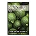 Photo Sow Right Seeds - Round Zucchini Seed for Planting - Non-GMO Heirloom Packet with Instructions to Plant a Home Vegetable Garden - Great Gardening Gift (1) review